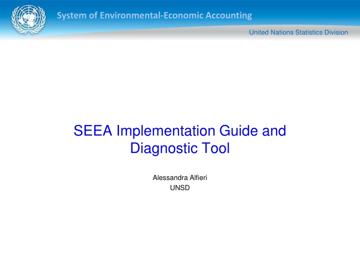 system of environmental economic accounting n.w