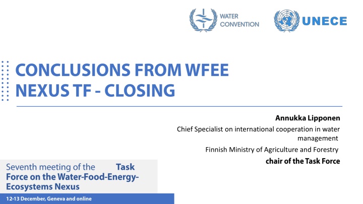 chief specialist on international cooperation n.w