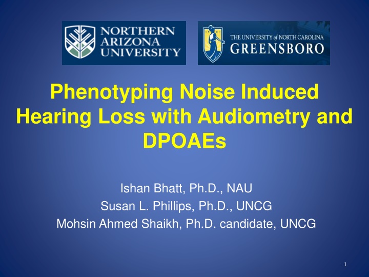 Phenotyping Noise-Induced Hearing Loss with Audiometry and DPOAEs