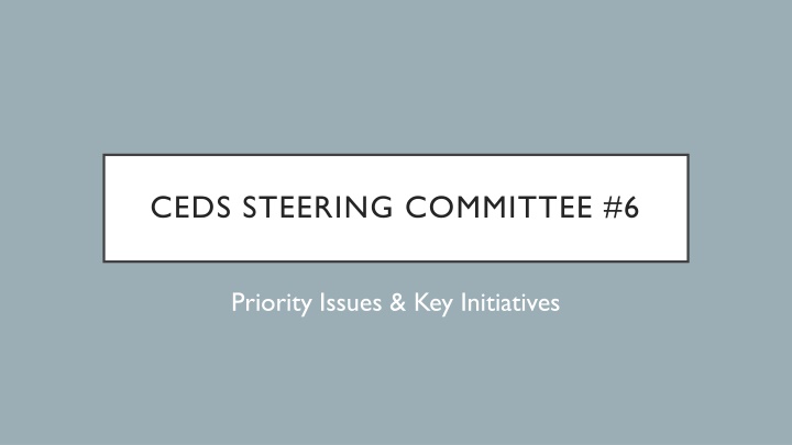 CEDS Steering Committee Priority Issues & Key Initiatives