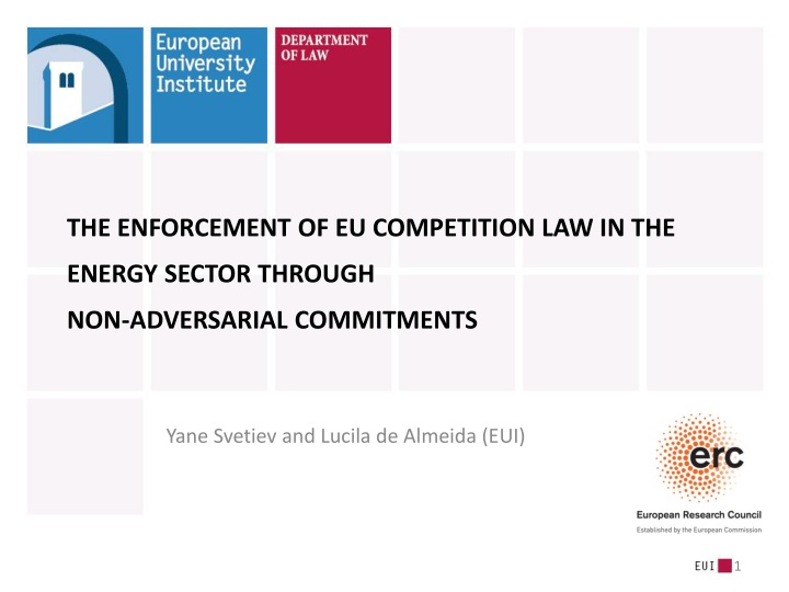 the enforcement of eu competition law in the n.w