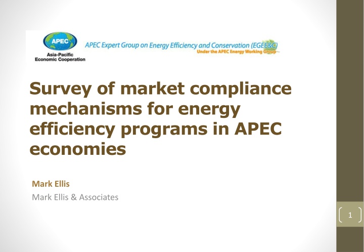 survey of market compliance mechanisms for energy n.w