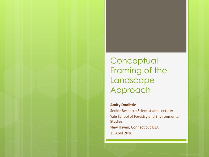 Conceptual Framing of Landscape Approach