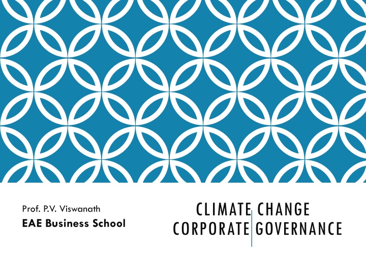 climate change corporate governance n.w