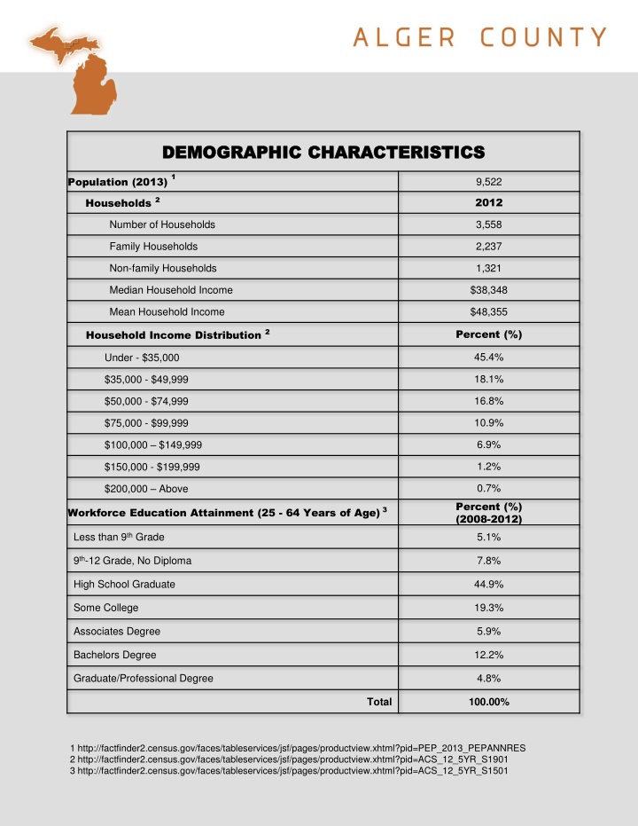 Demographic and Government Characteristics of Munising City