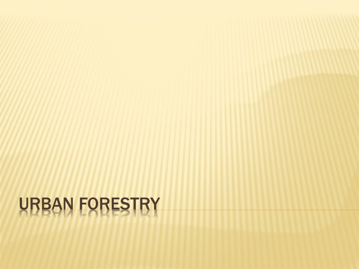 Urban Forestry Benefits and Initiatives in New York City