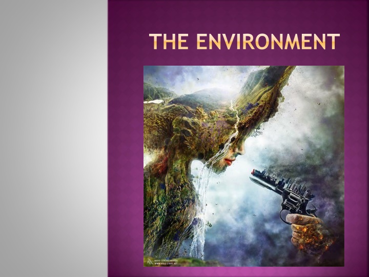 the environment n.w