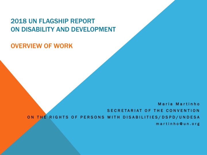 2018 un flagship report on disability n.w