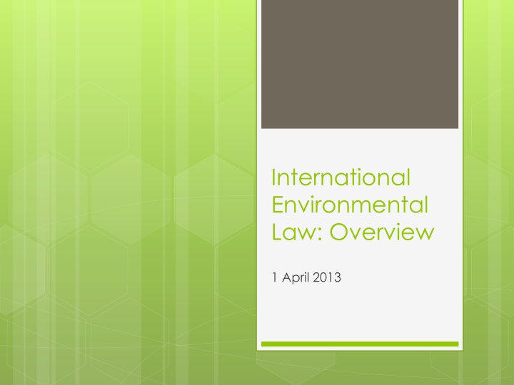 International Environmental Law Overview: Issues, Institutions, and Principles