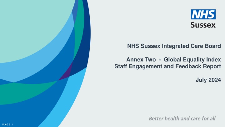NHS Sussex Integrated Care Board Global Equality Index Engagement Report