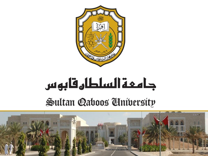 Research Interests in Entrepreneurship and Leadership