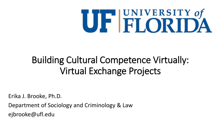 Virtual Exchange for Cross-Cultural Learning
