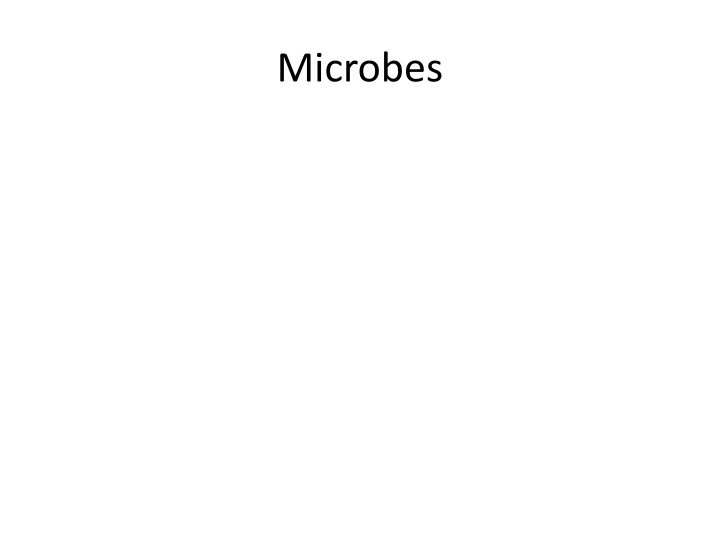 microbes n.w
