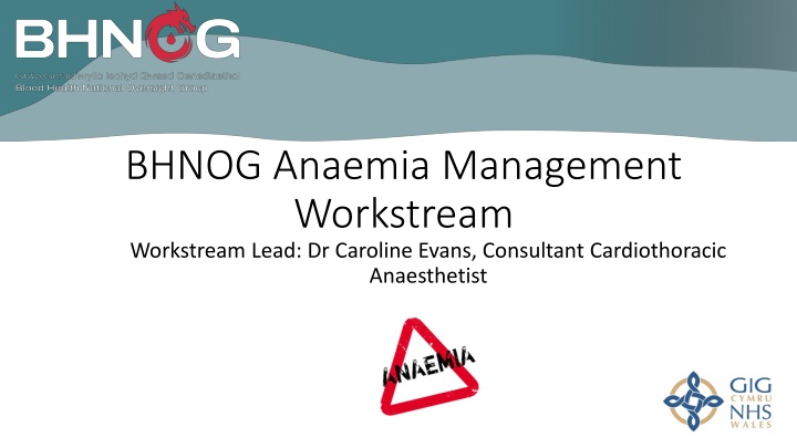 bhnog anaemia management workstream workstream n.w