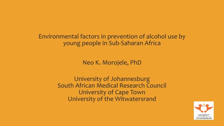 Environmental Factors in Prevention of Alcohol Use by Young People in Sub-Saharan Africa