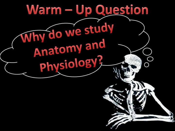 why do we study anatomy and physiology n.w