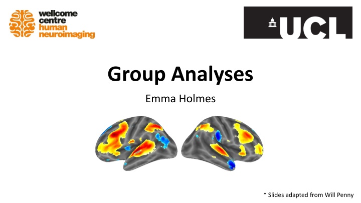 group analyses n.w