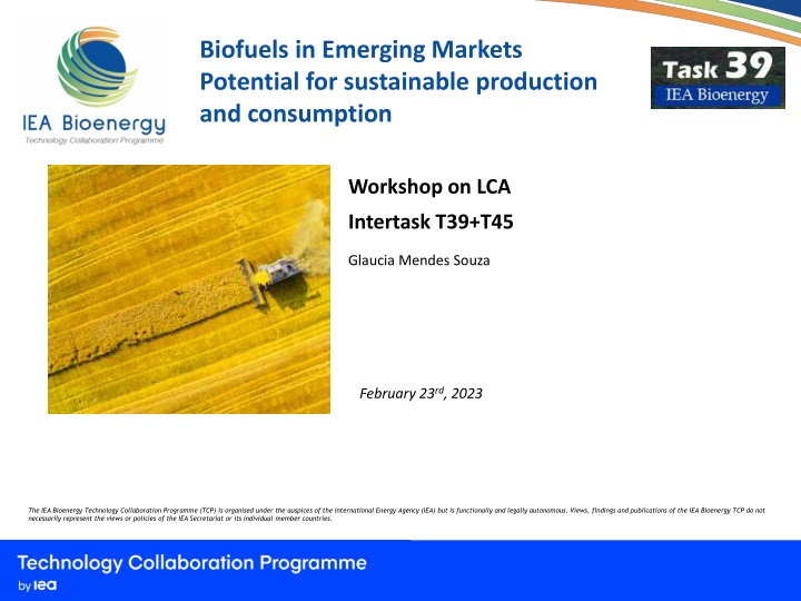 Biofuels in Emerging Markets: Sustainable Production and Consumption