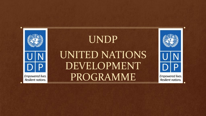 United Nations Development Programme: Helping Nations Achieve Sustainable Growth