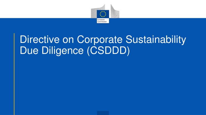 Corporate Sustainability Due Diligence Directive