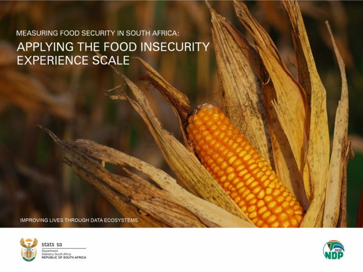 Food Insecurity in South Africa: Factors and Solutions