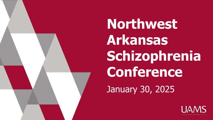 northwest arkansas schizophrenia conference n.w