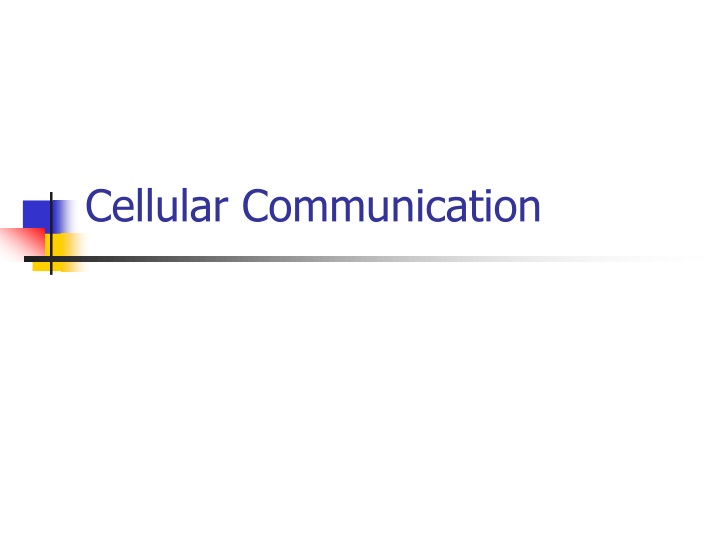 Evolution of Cellular Networks Communication