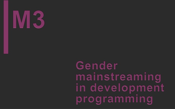 Gender Mainstreaming in Development Programming