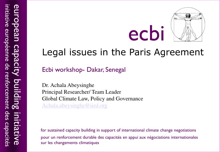 initiative europ enne de renforcement des capacit n.w