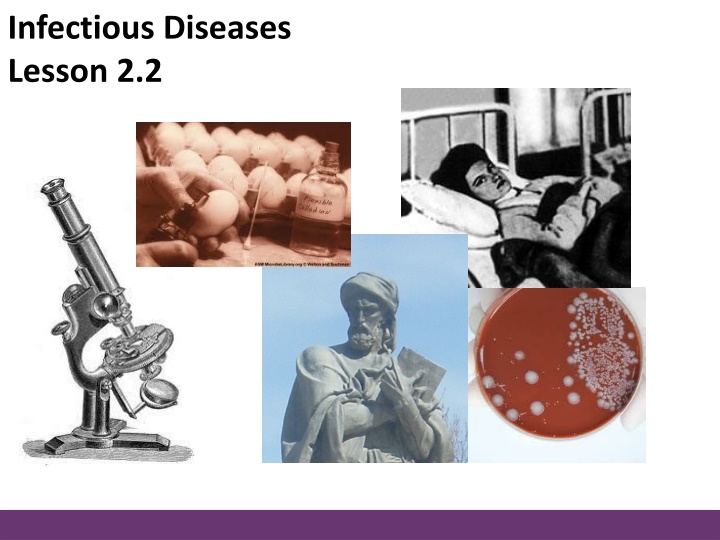 Infectious Diseases: Causes, Discoveries, and Impact