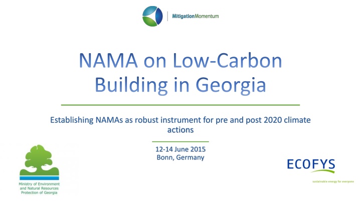 Establishing NAMAs as Robust Instrument for Climate Actions