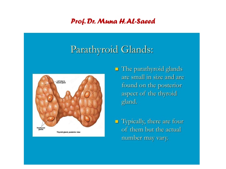 prof dr muna h al saeed n.w