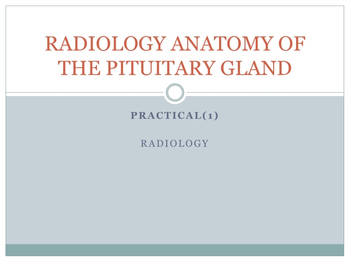 Anatomy of the Pituitary Gland: Practical Insights