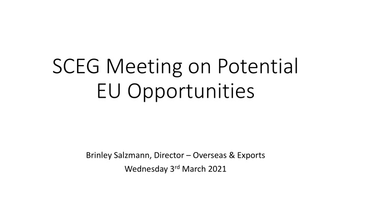 UK Security Companies in the EU Market