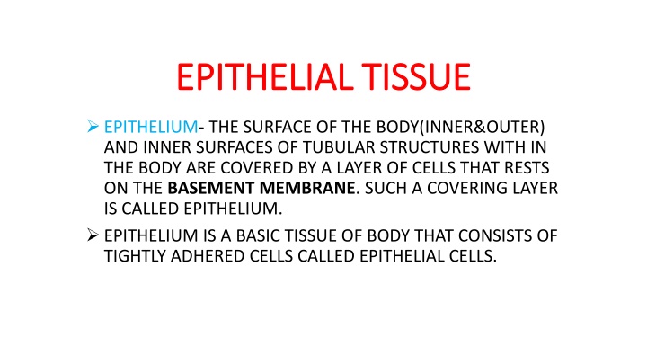 Epithelial Tissue in the Body