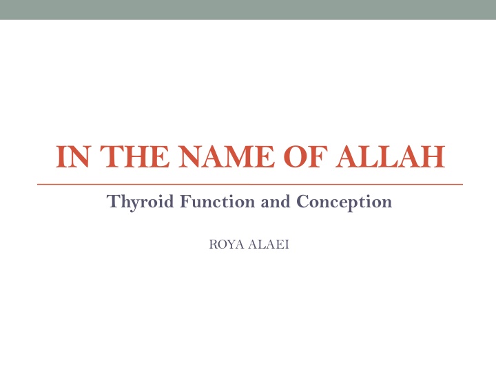in the name of allah n.w