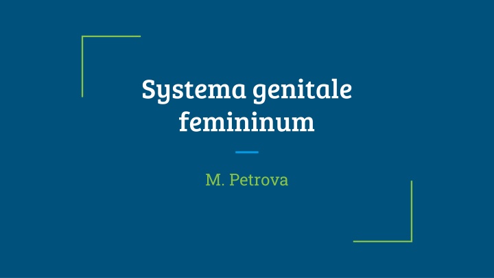 Overview of Female Genital System Anatomy