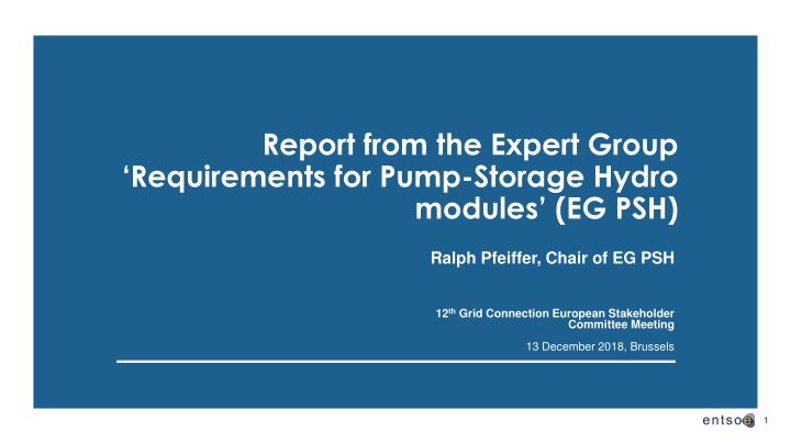 Expert Group Report on Pump-Storage Hydro Requirements