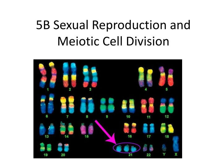 5b sexual reproduction and meiotic cell division n.w