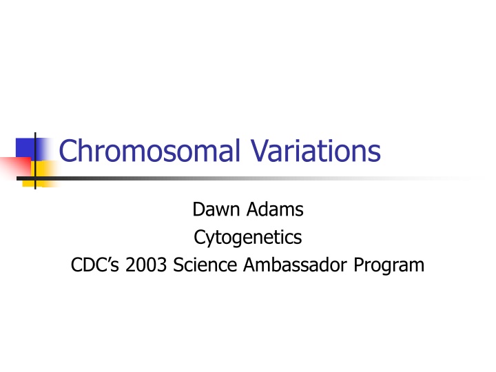 Chromosomal Variations and Syndromes Overview