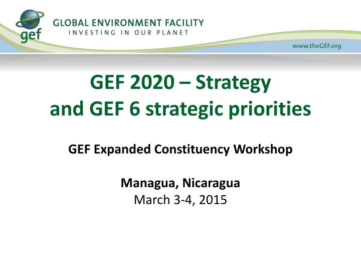 GEF 2020 Strategy and Priorities in Managua Workshop