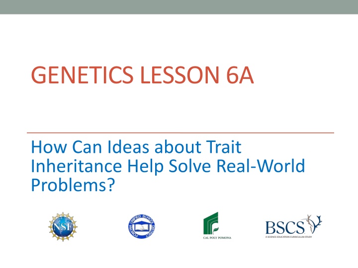 genetics lesson 6a n.w