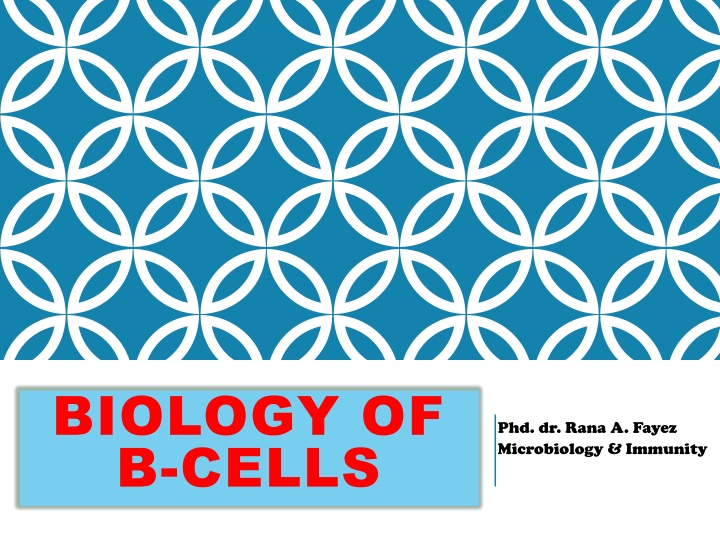 Insights into B-Cell Function and Location