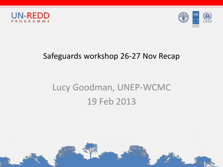 Nigeria's REDD+ Safeguards Workshop Recap