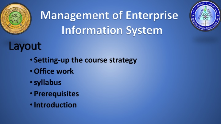 Enterprise Information System Management Course Overview