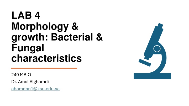 lab 4 morphology growth bacterial fungal n.w