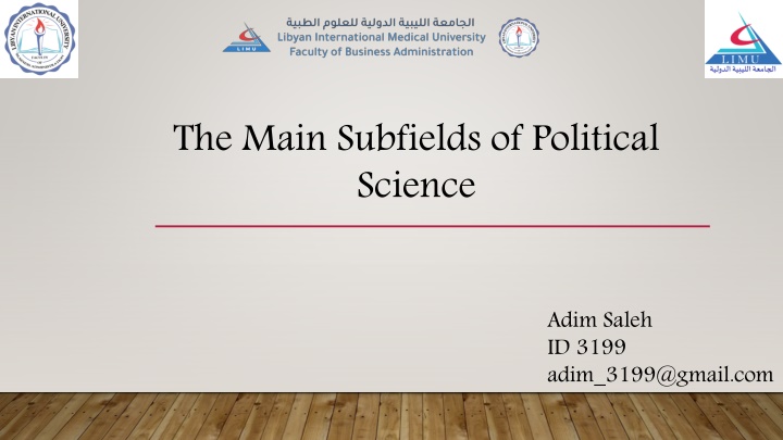 Subfields of Political Science Overview
