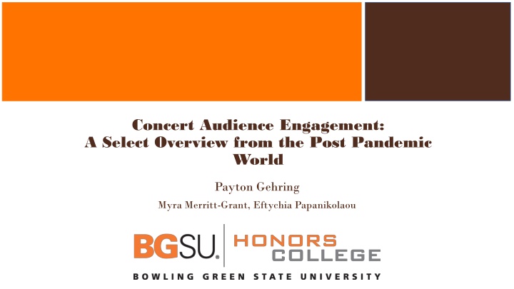 concert audience engagement a select overview n.w