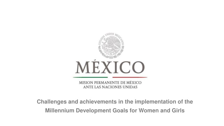 challenges and achievements in the implementation n.w