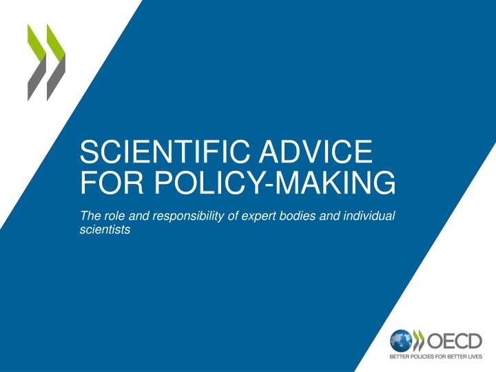 Role of Expert Bodies in Policy-Making